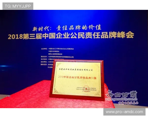 汇彩控股有限公司：企业社会责任与可持续发展实践探索