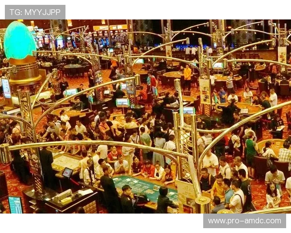 澳门新葡京娱乐网最新赛事信息及时掌握让你把握每一次赢的机会