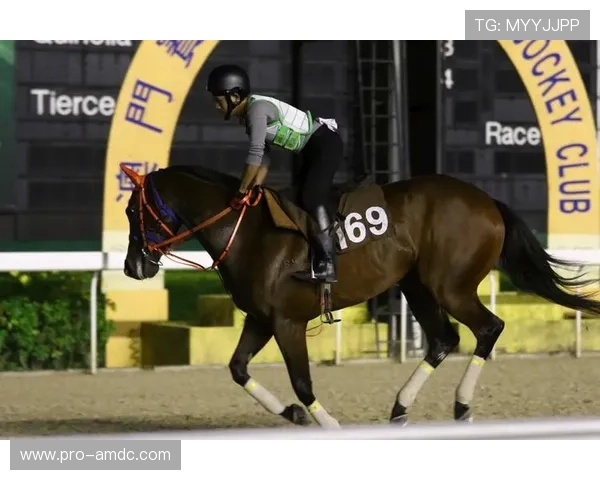 澳门赛马日期2024年最新安排及详细时间表介绍