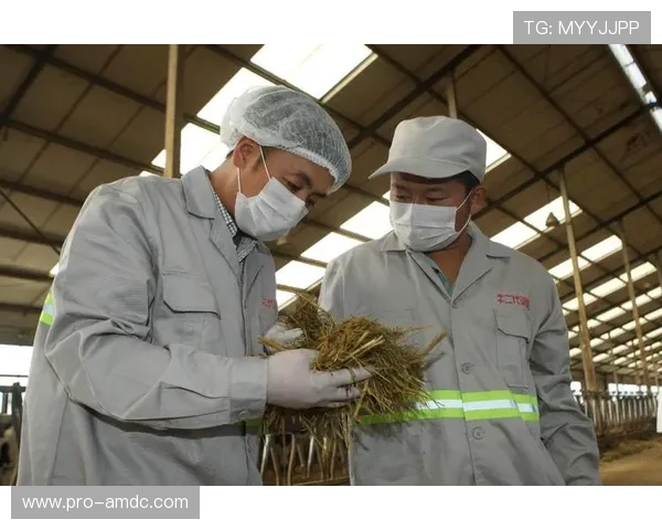 澳门银河娱乐集团在社会责任方面的积极作为与可持续发展路径