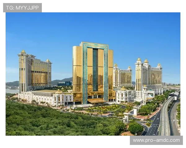 澳门银河娱乐集团官网用户评价与口碑分析，真实玩家体验分享与建议参考