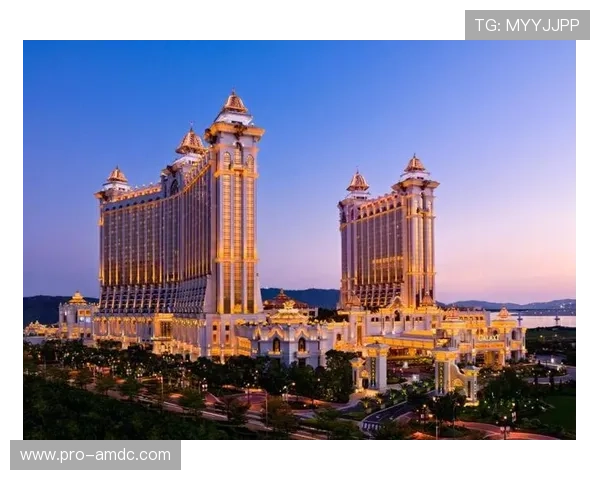 澳门银河官网网址官方平台介绍，了解平台特色与优势提升游戏体验