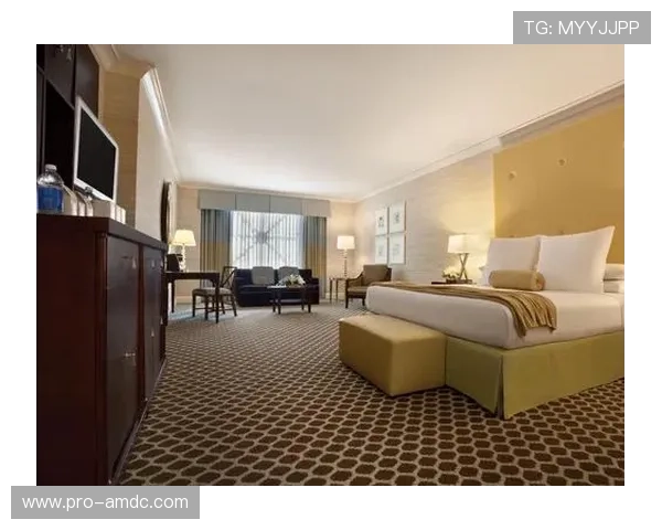 凯撒皇宫：游戏中皇宫升级的详细步骤与提升效率的实用建议