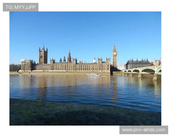 探索凯撒宫世界公司在虚拟现实技术中的应用与未来发展方向