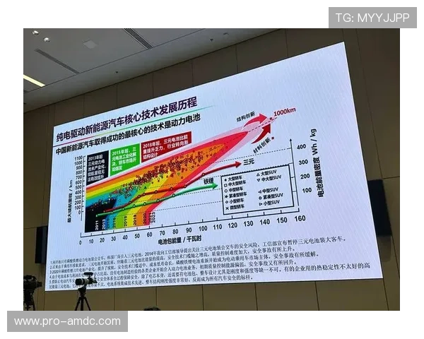 掌握百家乐技巧与实战的秘诀，从新手到高手的突破之路详解