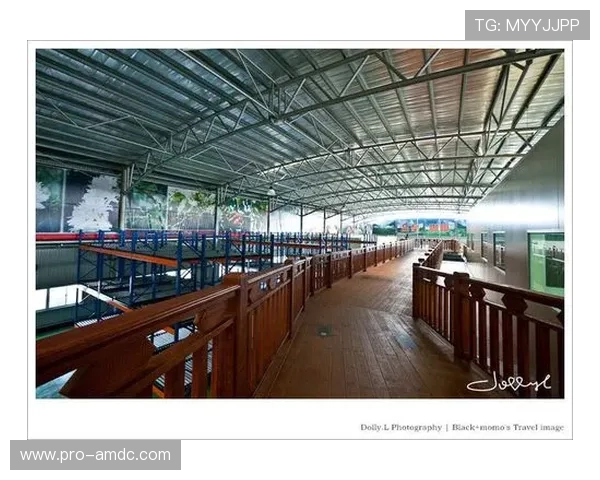 澳門摩卡交通出行便利，轻松规划你的行程和交通路线